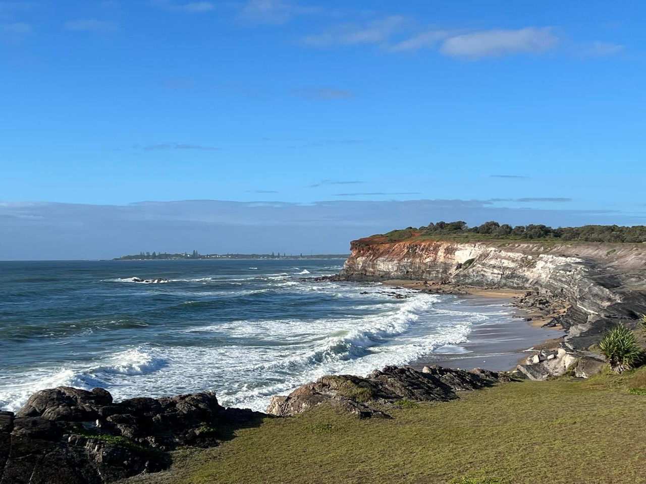 The Pie Shop Yamba Pyney's Pie Reviews